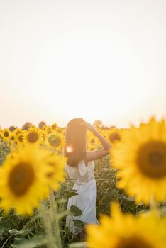 Freedom concept. Autumn nature. Rear view of a woman in white dress walking between sunflowers on a field in sunset