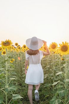 Freedom concept. Autumn nature. Rear view of a woman in white dress walking between sunflowers on a field in sunset