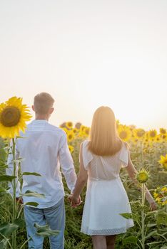 Autumn nature. Young romantic couple walking in sunflower field in sunset