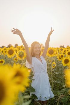 Freedom concept. Autumn nature. Young woman in white dress walking between sunflowers on a field in sunset raising her arms