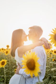 Autumn nature. Young romantic couple walking in sunflower field in sunset