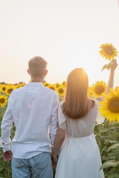 Autumn nature. Young romantic couple walking in sunflower field in sunset