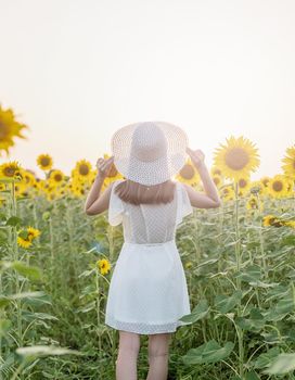 Freedom concept. Autumn nature. Rear view of a woman in white dress walking between sunflowers on a field in sunset