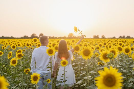 Autumn nature. Love and romance. Young romantic couple walking in sunflower field in sunset