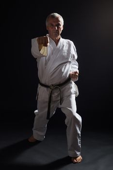 Senior man practicing karate indoor.
