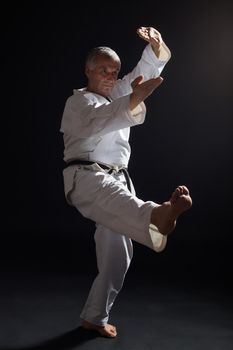 Senior man practicing karate indoor.