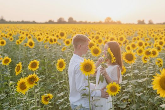 Autumn nature. Love and romance. Young romantic couple walking in sunflower field in sunset