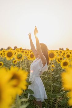 Freedom concept. Autumn nature. Young woman in white dress walking between sunflowers on a field in sunset raising her arms