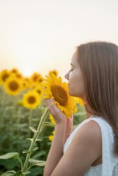 Freedom concept. Autumn nature. Girl in white dress smelling a sunflower blossom.