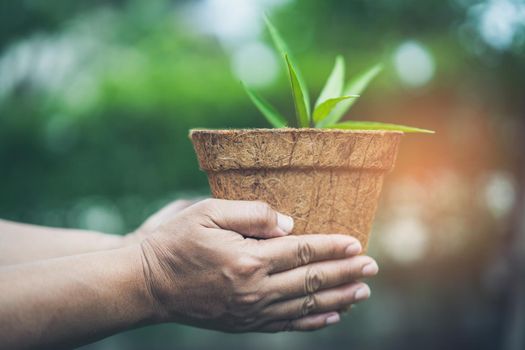 Asian woman holding tree in recycle flowerpot in garden at home concept of save earth and the environment world earth day