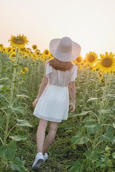 Freedom concept. Autumn nature. Rear view of a woman in white dress walking between sunflowers on a field in sunset