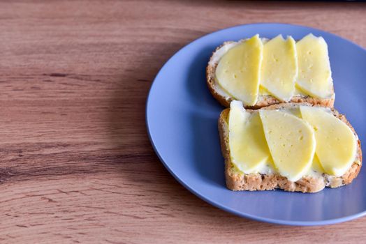 two sandwiches with cheese lie on a plate, close-up photo with copy space.