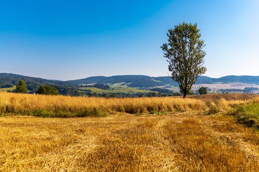 Landscape of green and yellow fields with small hills and blue sky and mountains in background