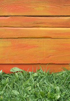 Bouquet of bright summer flowers on colorful wooden boards.