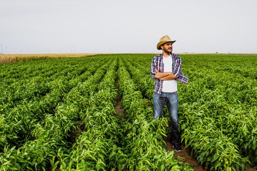 Happy farmer is standing in his pepper plantation.