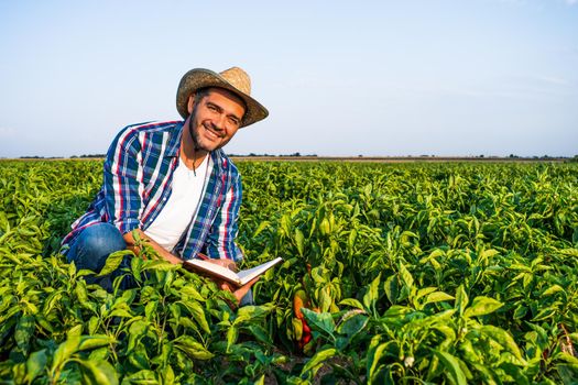 Happy farmer is examining his pepper plantation.