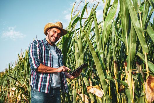 Happy farmer examining his growing corn field.