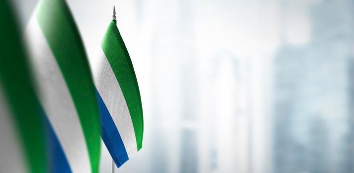 Small flags of Sierra Leone on a blurry background of the city.