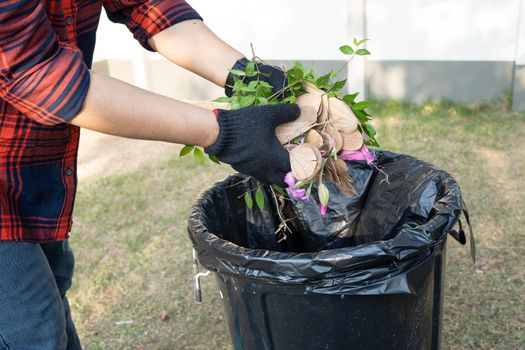 Asian woman clean and collecting bin dry leaves garbage in park, recycle, environment protection. Team with recycle project outside.