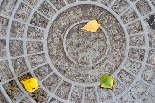 Sewer manhole with yellow autumn. leaves manhole cover top view
