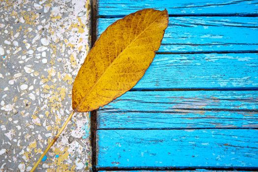 Autumn background with colorful fall leaves on a wooden bench with place for text.Frame with autumn leaves. Copy space. Top view.