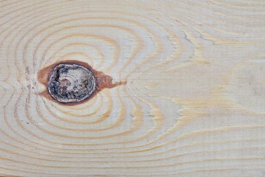 Wood texture. Wood texture for design and decoration.