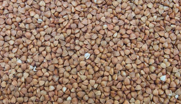 Buckwheat grains, brown seeds, background, texture. Grechka.Close up Top View on organic Natural Dried brown buckwheat