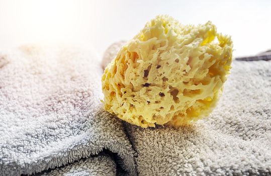Natural yellow sponge on stacked towels. Personal care and hygiene. Bath and relax