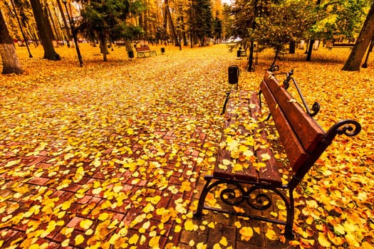 Golden autumn in a city park with trees and fallen yellow leaves on a cloudy day.