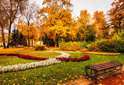 Golden autumn in a city park with trees and fallen yellow leaves on a cloudy day.