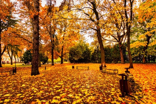 Golden autumn in a city park with trees and fallen yellow leaves on a cloudy day.