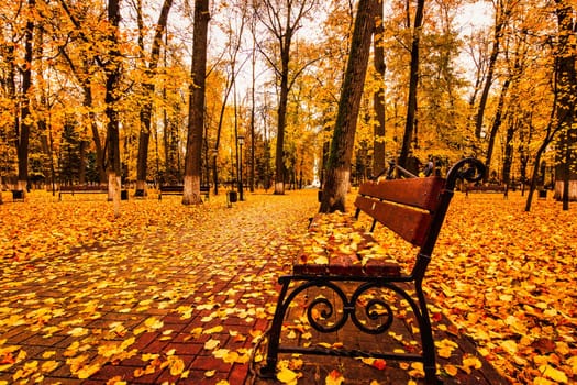 Golden autumn in a city park with trees and fallen yellow leaves on a cloudy day.