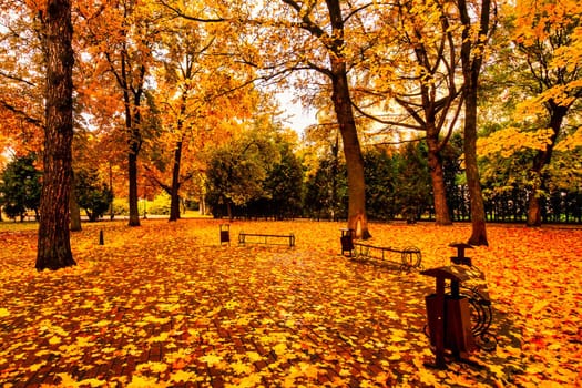 Golden autumn in a city park with trees and fallen yellow leaves on a cloudy day.