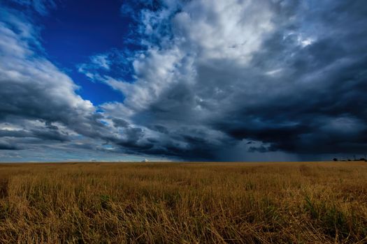 Dark storm clouds in an agricultural field in autumn. An impending storm, hurricane or thunderstorm. Bad extrime weather.