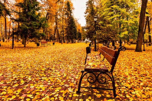 Golden autumn in a city park with trees and fallen yellow leaves on a cloudy day.