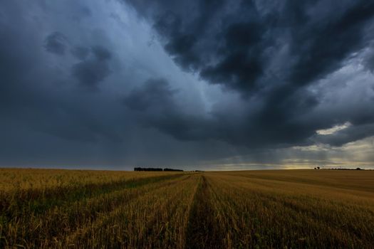 Dark storm clouds in an agricultural field in autumn. An impending storm, hurricane or thunderstorm. Bad extrime weather.