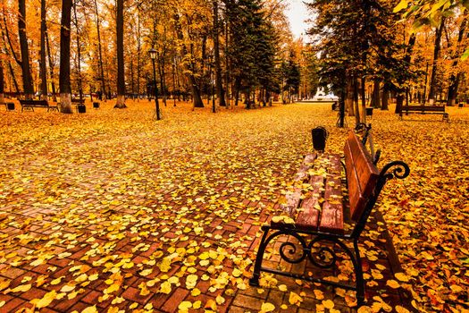 Golden autumn in a city park with trees and fallen yellow leaves on a cloudy day.