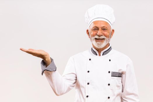 Portrait of senior chef showing palm of hand on gray background.