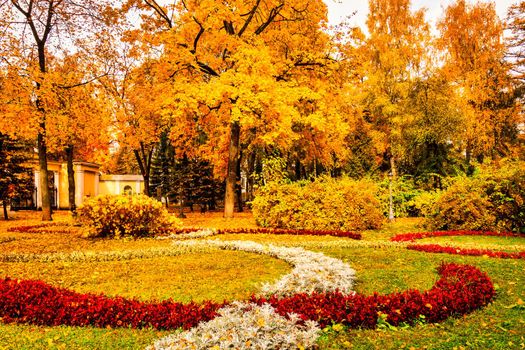 Golden autumn in a city park with trees and fallen yellow leaves on a cloudy day.