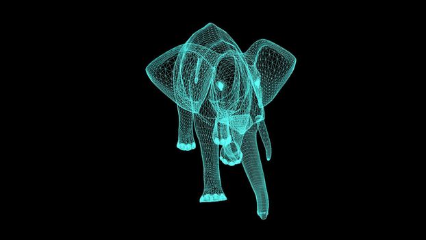 3d illustration - Wireframe Elephant On black  Screen