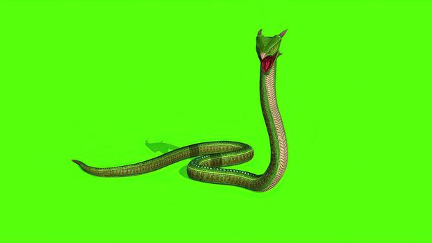 3d illustration - Snake on a Green Screen - background