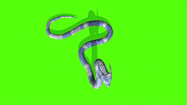 3d illustration - Snake on a Green Screen - background