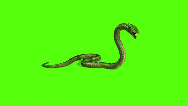 3d illustration - Snake on a Green Screen - background