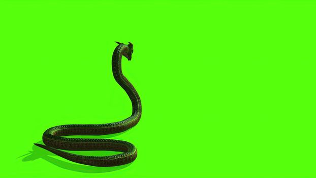 3d illustration - Snake on a Green Screen - background