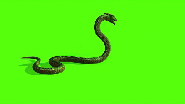 3d illustration - Snake on a Green Screen - background