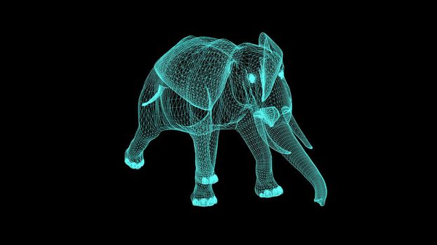 3d illustration - Wireframe Elephant On black  Screen
