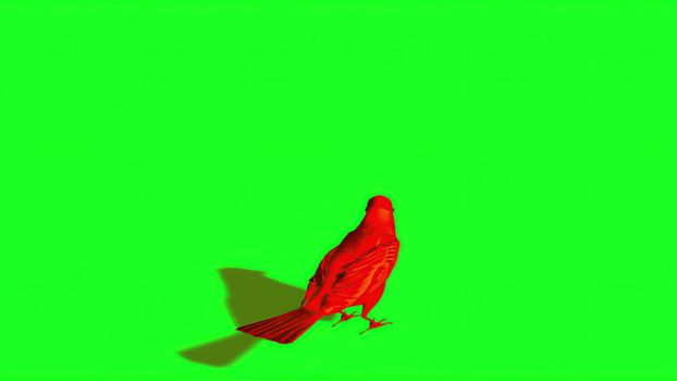 3d illustration - Silhouette of red Sparrow - Green Screen