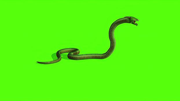 3d illustration - Snake on a Green Screen - background