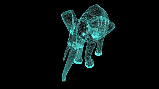 3d illustration - Wireframe Elephant On black  Screen