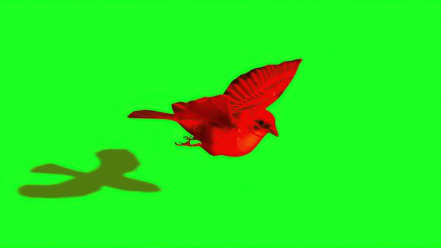 3d illustration - Silhouette of red Sparrow - Green Screen